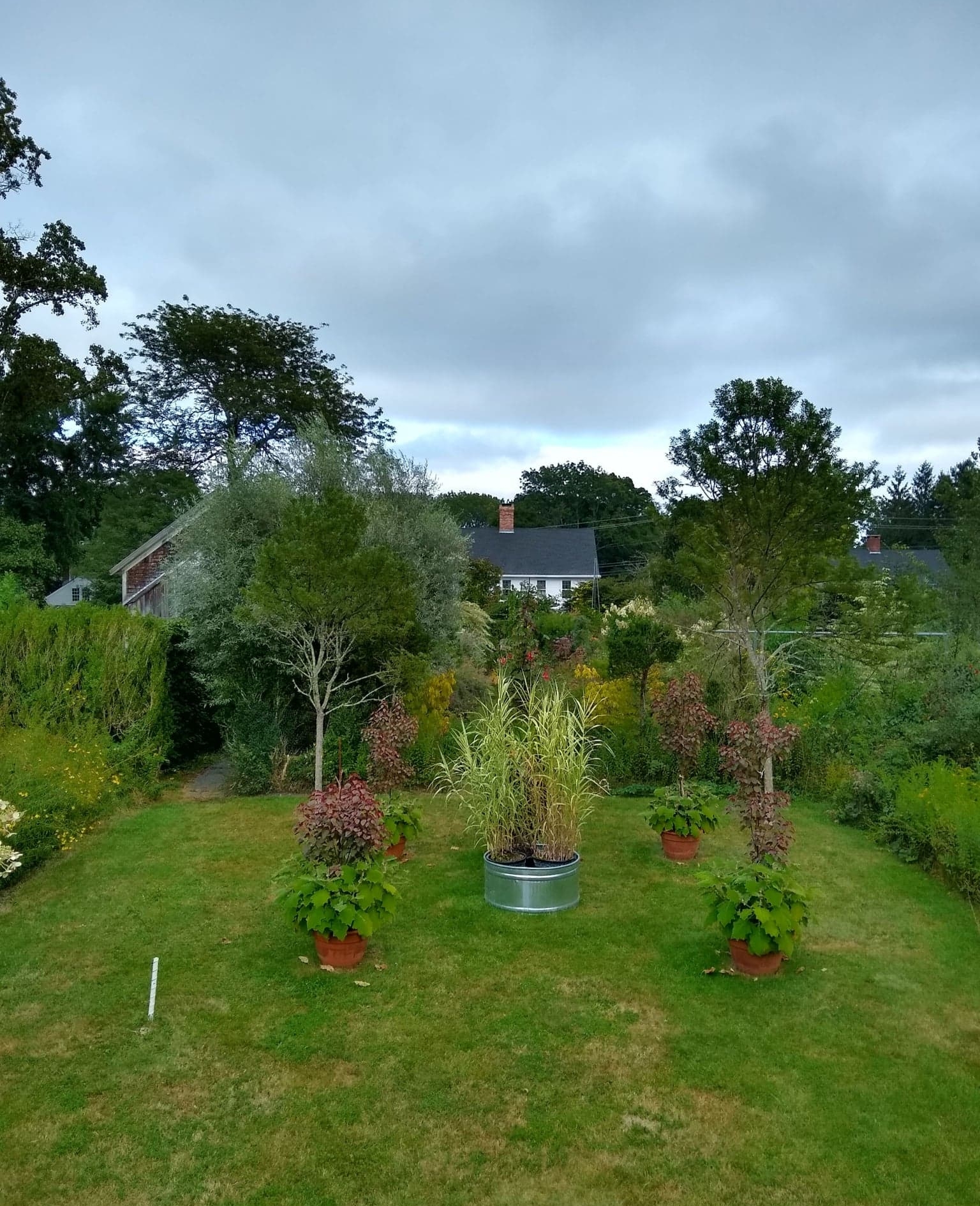 Louis has been cultivating his personal garden for over two decades - it’s a true projects of a lifetime! His home/studio/garden is located in Hopkinton, RI.